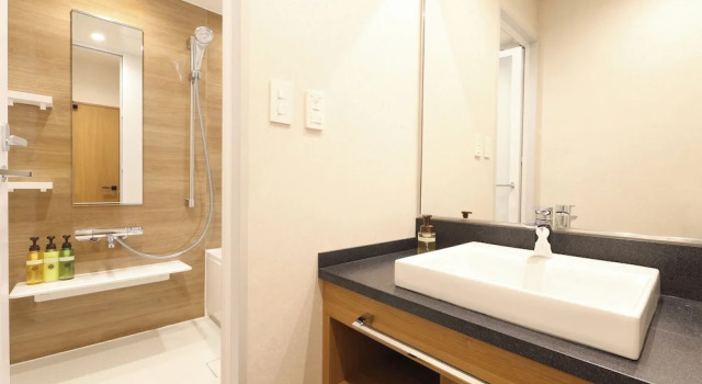 Номер Standard HOTEL MYSTAYS Kumamoto Riverside