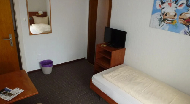 Одноместный номер Economy Hotel Pension Gelpkes Mühle