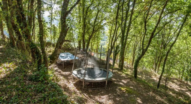 Коттедж Forest House casinha do Carvalhal