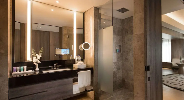 Двухместный номер Premier Conrad Manila