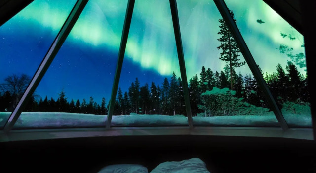 Номер Premium Reindeer Manor Levi