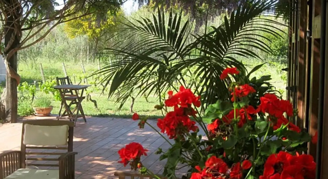 B&B Sa Ingia, Забронировать Отель Отели Полуострова Синис 3 звезды, 3*