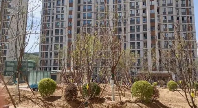 Jingpeng Town Jinfu Homestay, Book Hotel Chifeng Inner Mongolia