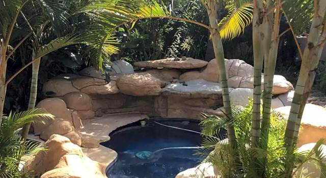 Tropical Paradise