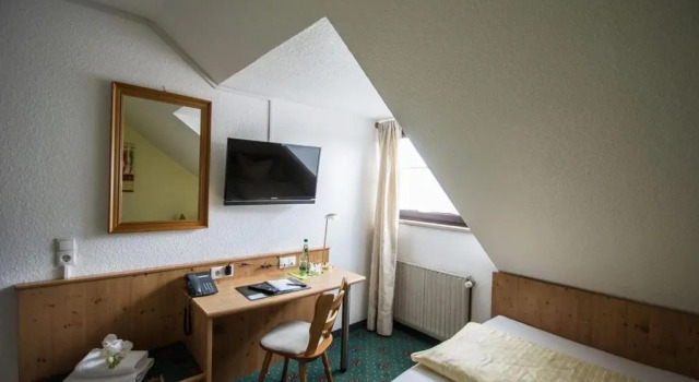 Одноместный номер Standard Hotel Avenue Altenfurt