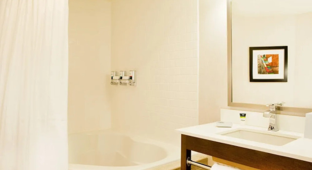 Люкс c 1 комнатой Four Points by Sheraton Newark Christiana Wilmington