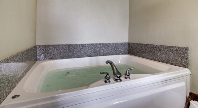 Двухместный люкс Holiday Inn Express Hotel & Suites Peru - Lasalle Area by IHG