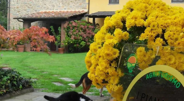 Agriturismo I Pianacci