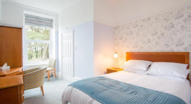 Двухместный номер Economy Gwesty Gadlys Hotel