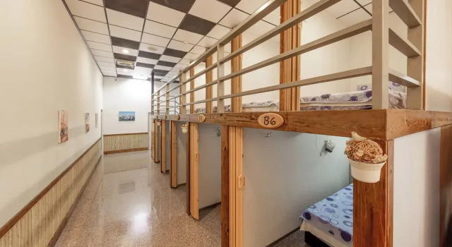 Кровать в общем номере Sun Moon Lake Jinlongshan BnB