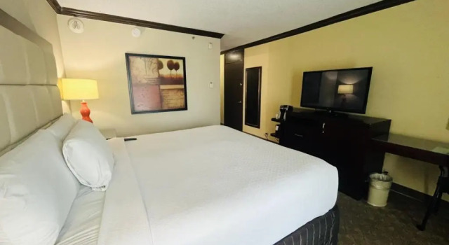 Двухместный номер Wingate Houston near NRG Park/Medical Center