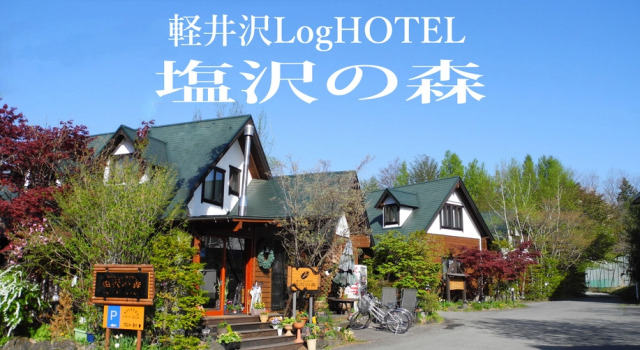 Номер Standard Karuizawa Loghotel Shiozawa no Mori