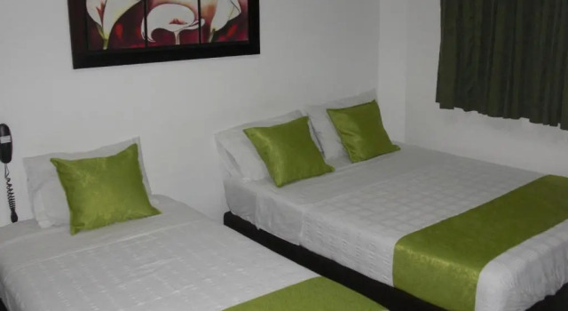 Номер Standard Hotel Aussie koala