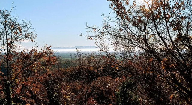 Люкс Tenuta Monte la Guardia
