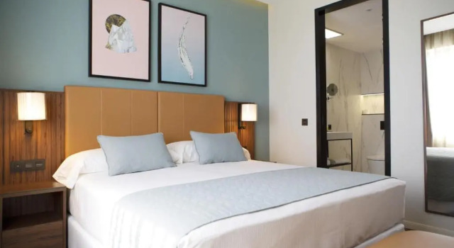 Двухместный номер Deluxe Riu Plaza España