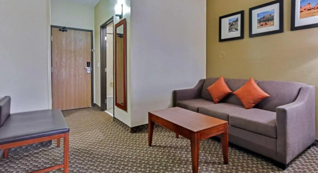 Люкс Comfort Suites University