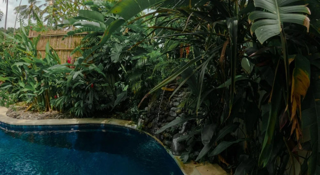 Номер Executive The Water Garden Hotel