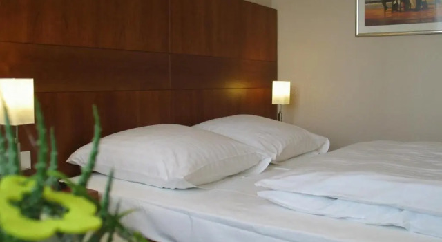 Одноместный номер Standard Hotel Lindenhof