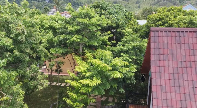 Двухместный номер Standard Tropical Valley Homestay - Villas
