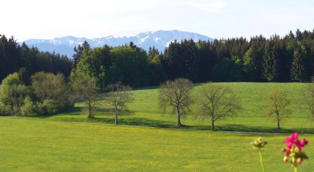 Номер Standard Landgasthof Berg