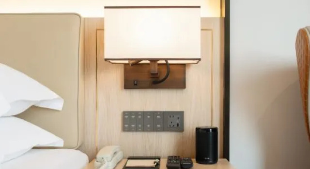 Люкс Business Vienna International Hotel Guangxi Duan