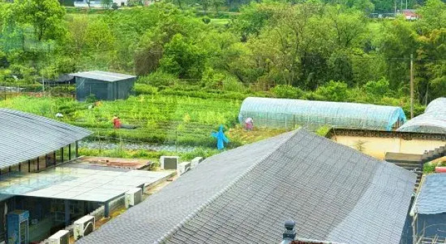 Half-Day Leisure · Free Courtyard (Baoyu Tower Branch, Wuyuan)