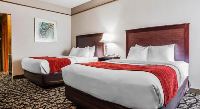 Номер Standard Suburban Studios Kansas City Airport North