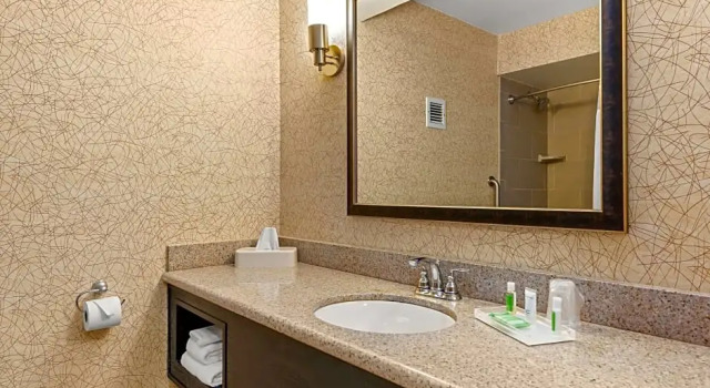 Двухместный люкс c 1 комнатой Holiday Inn Johnson City by IHG