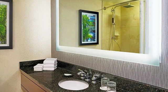 Двухместный люкс Executive c 1 комнатой The Westin Michigan Avenue Chicago