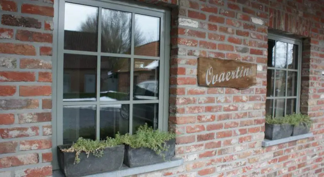 B&B Ovaertine