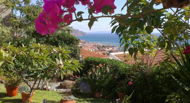 Студия с красивым видом из окна Apartments Vista Oceano