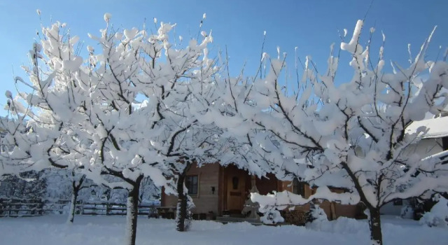 Коттедж Ferienhaus Mandlhof