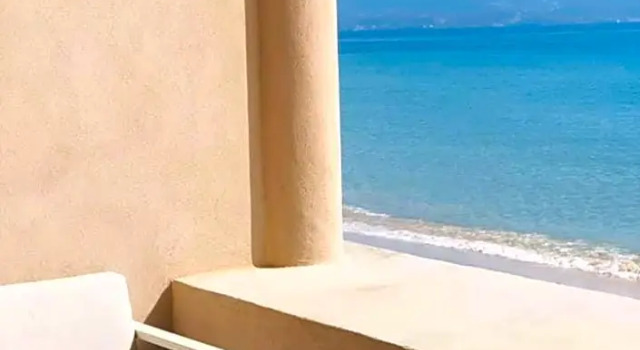 Полулюкс Palm Beach