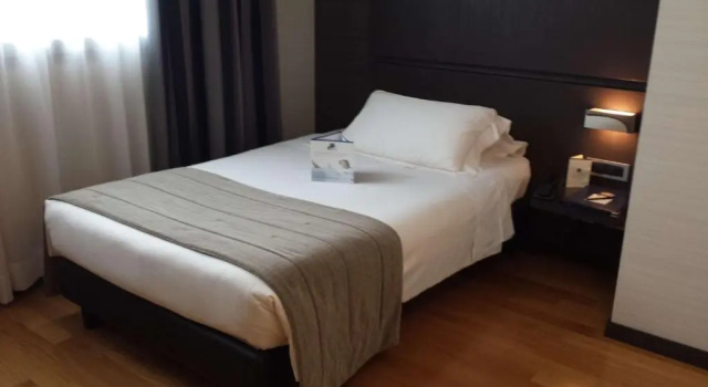 Одноместный номер Comfort Best Western Plus Hotel Monza e Brianza Palace