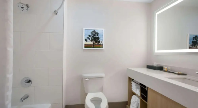 Четырёхместная студия La Quinta Inn & Suites by Wyndham Manassas, VA- Dulles Airport