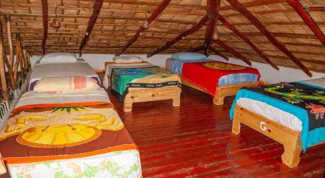 Кровать в общем номере Hostel La Ballena Backpacker