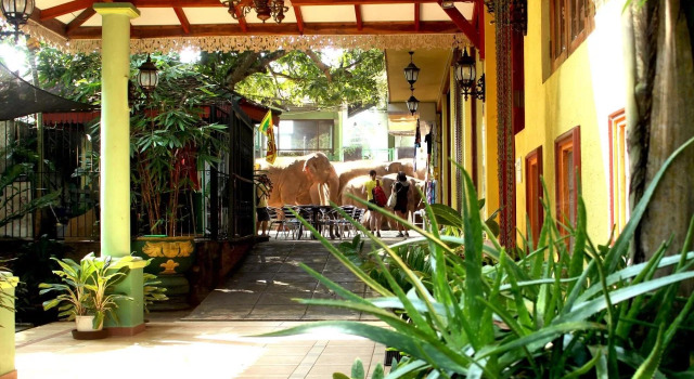 Green Land Guest House