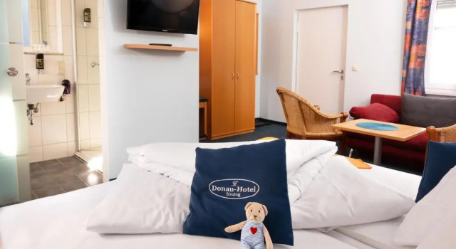 Konfor tek kişilik oda Donau-Hotel