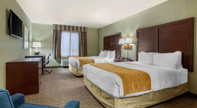 Четырёхместный номер Standard Comfort Inn & Suites