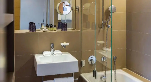 Двухместный номер Deluxe Pullman Basel Europe