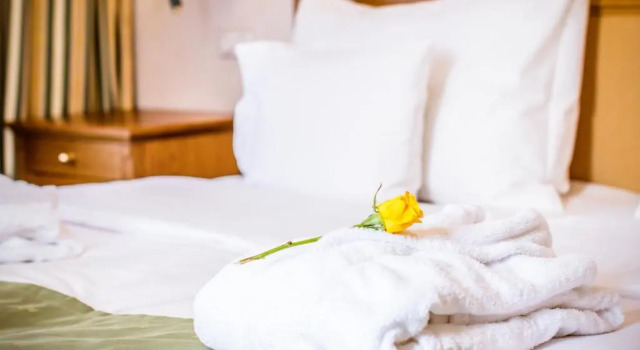 Одноместный номер Standard Hotel Dvorak Cesky Krumlov