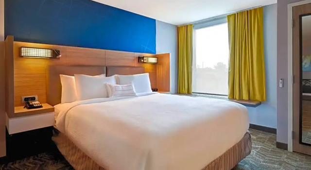 Одноместный люкс SpringHill Suites by Marriott Holland