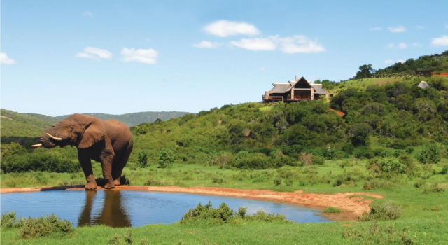 Люкс Hopewell Private Game Reserve