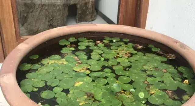 dongxiaojiedemins·xiyushanju