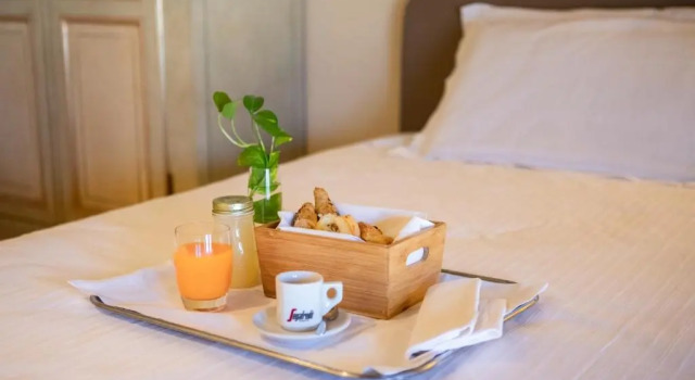 Одноместный номер Standard Hotel Parco Borromeo - Monza Brianza