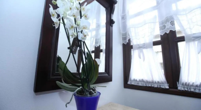 Номер Standard Hotel Antipatrea