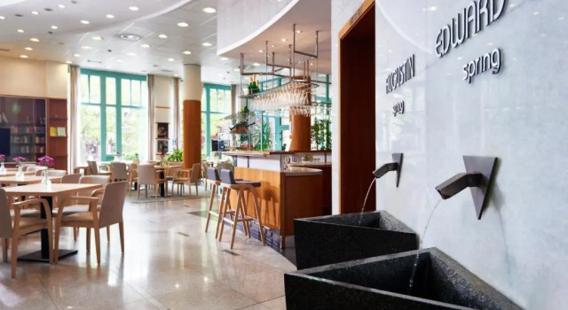 Номер Deluxe OREA Spa Hotel Cristal