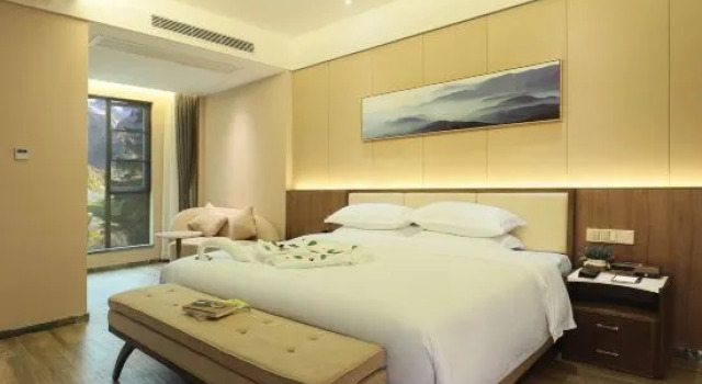 Номер Deluxe Jinyuan Hot Spring Hotel