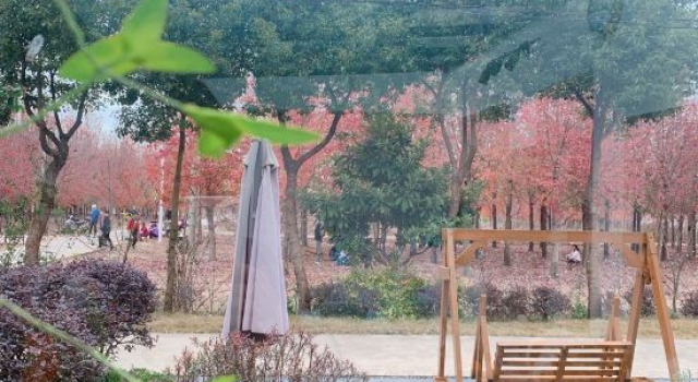 Shanghai Hanqi Homestay, Prenota Hotel Hotel a Jiaxing con parcheggio, Parcheggio