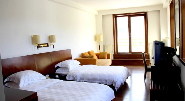 Двухместный номер Deluxe Avaunce Yabuli Hotel